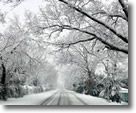 A Snowy Road Leading to Wantagh Park - Photo by Nicole Vozzi